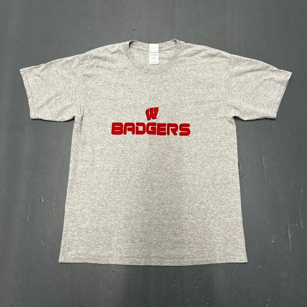 Vintage 2000s Wisconsin Badgers spell-out logo grey college graphic tshirt